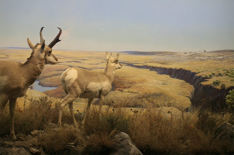 A painting of some horned animals