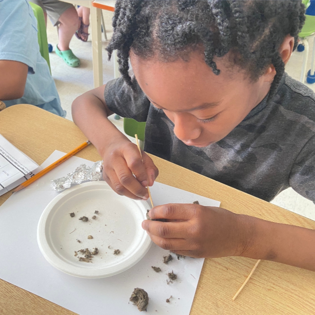 A student digs through a rock with a wooden tool